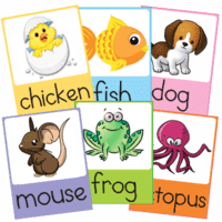 Flashcards-Learn-English