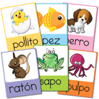 Flashcards-Learn-Spanish